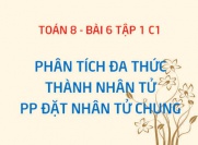 Cách phân tích đa thức thành nhân tử: Phương pháp đặt nhân tử chung - Toán 8 bài 6 tập 1 chương 1